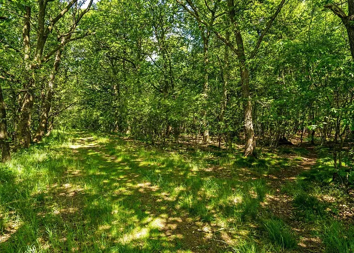 1 Bedroom Lovely In Hampen